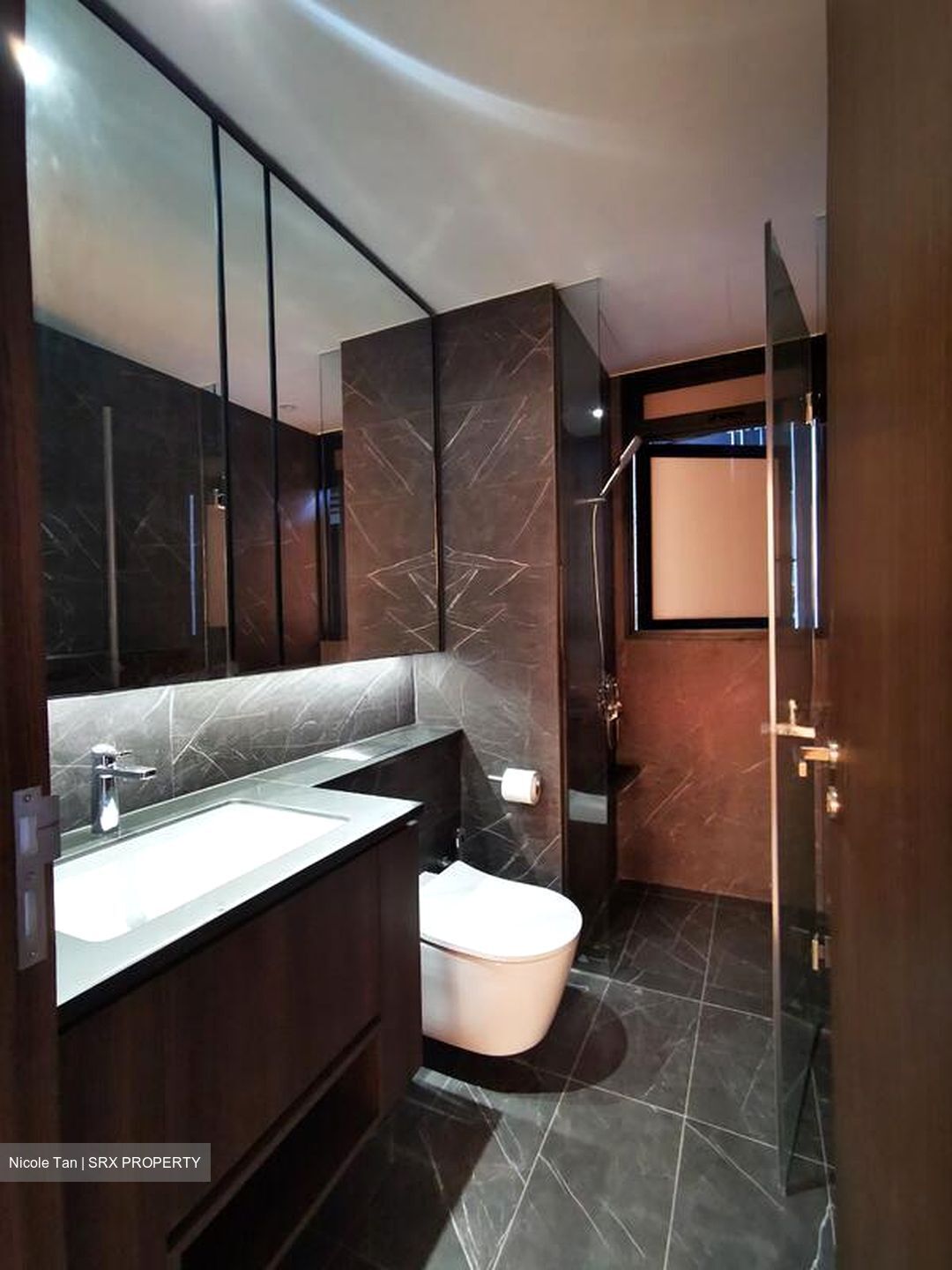 Kopar At Newton (D9), Apartment #499576201